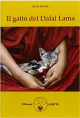 il-gatto-del-dalai-lama
