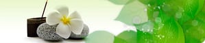 cropped-CQBanner2.jpg