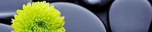 cropped-CQBanner3.jpg